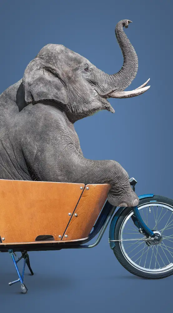 Portfolio Photoshop 07